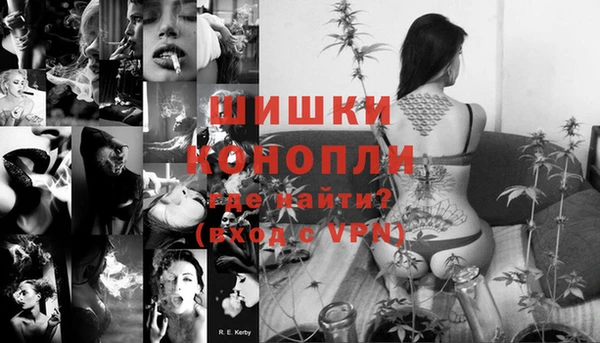 шишки Балабаново