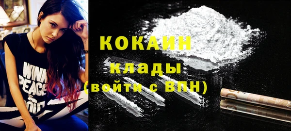 шишки Балабаново