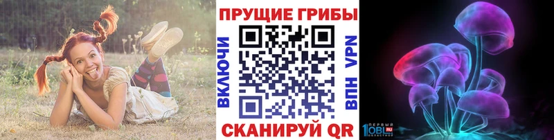 Псилоцибиновые грибы Psilocybe Мурино